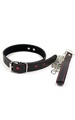 Collar Leash Black