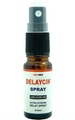 Delaycin Spray 10 ml