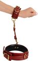 Hand & Leg Restraints