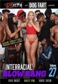 Interracial Blow Bang Vol 27
