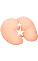 Perfect Ass XL Masturbator