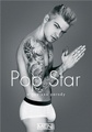 Pop Star A Gay XXX Parody