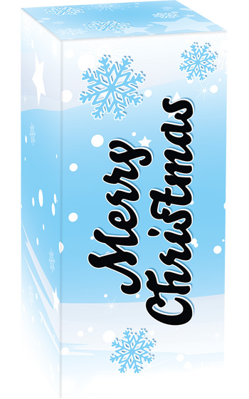 Presentbox Womanizer X-Mas Presentbox Womanizer X-Mas