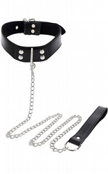  Elegant Collar & Chain Leash