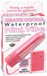 Remote Control Mini Vibe