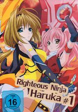 Righteous Ninja Haruka
