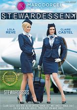 Analsex Stewardesses