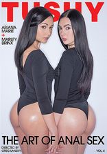 Analsex The Art Of Anal Sex Vol 4