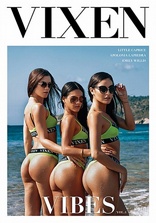 Vixen Vibes Vol 4